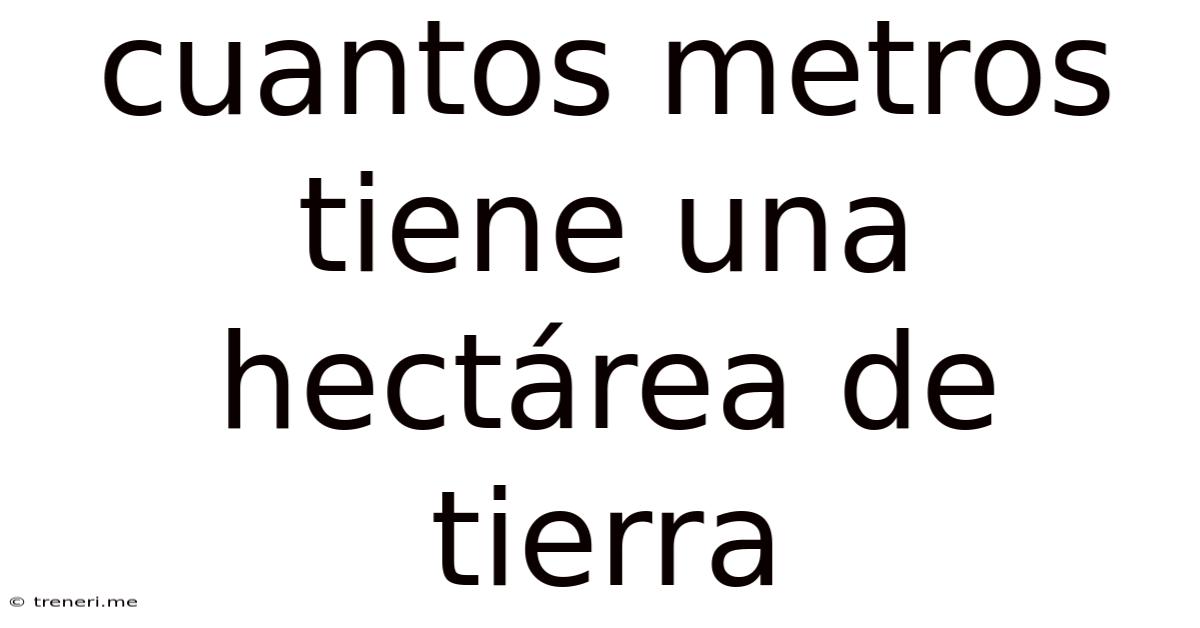 Cuantos Metros Tiene Una Hectárea De Tierra