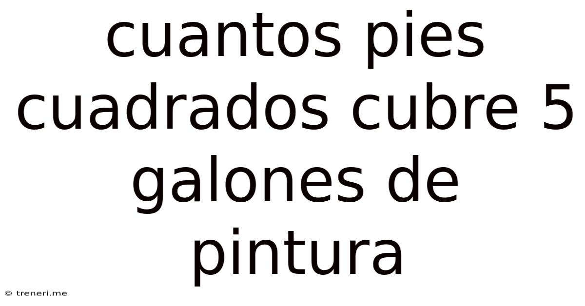 Cuantos Pies Cuadrados Cubre 5 Galones De Pintura