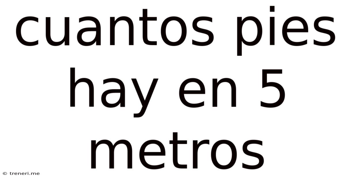Cuantos Pies Hay En 5 Metros