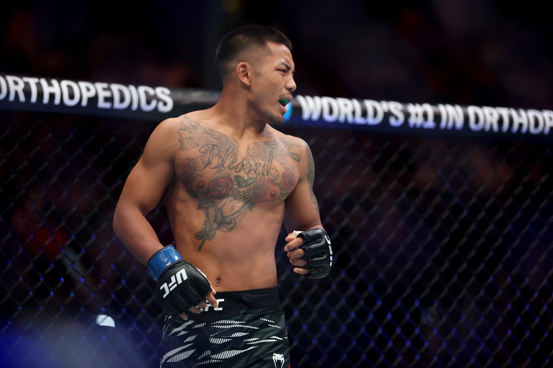 Dana White: UFC 316 Contender Shot