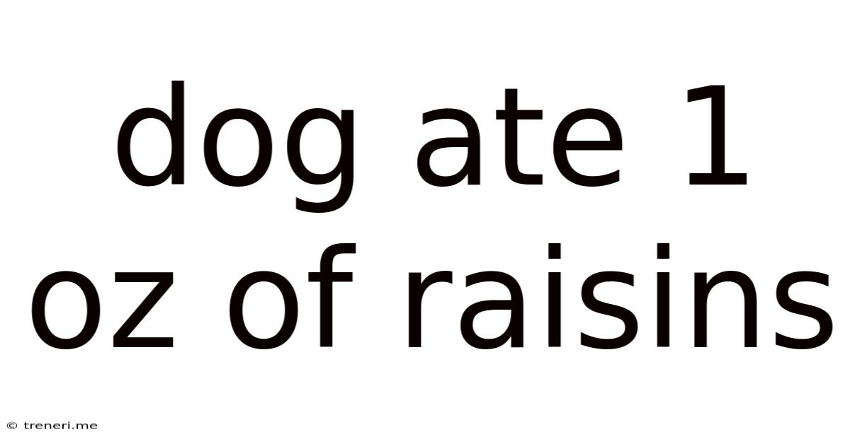 Dog Ate 1 Oz Of Raisins
