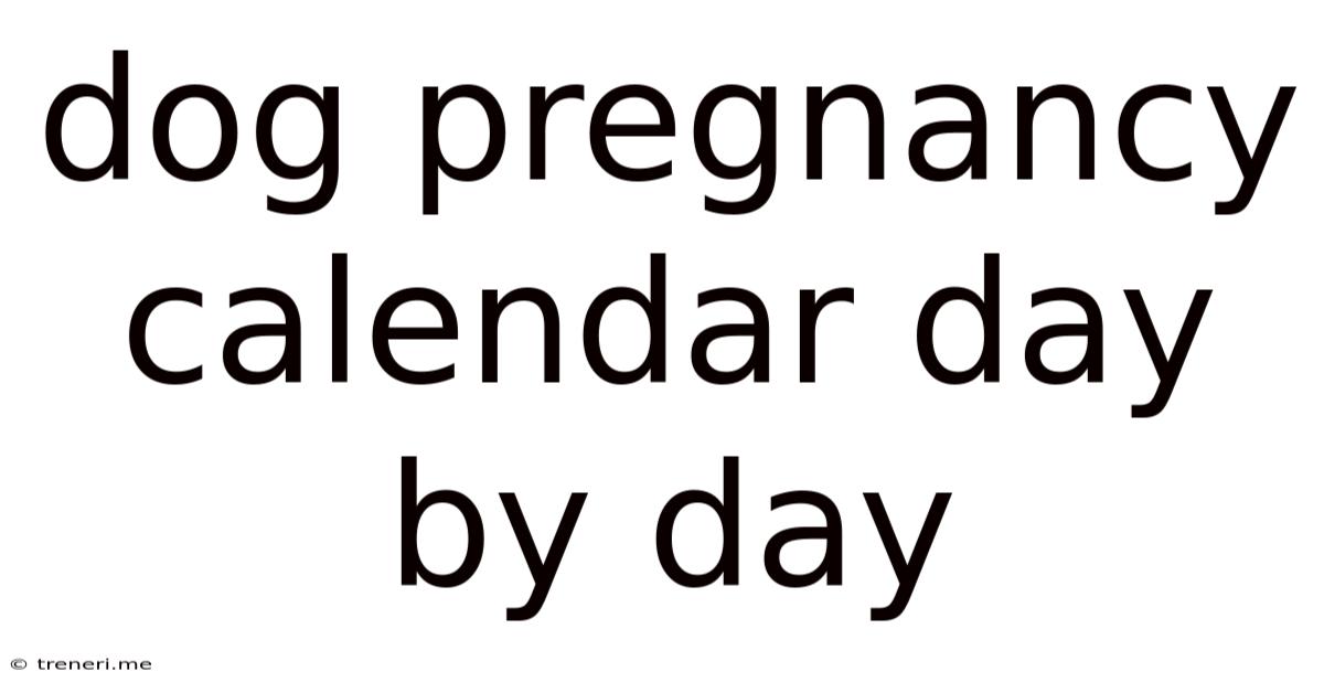 Dog Pregnancy Calendar Day By Day