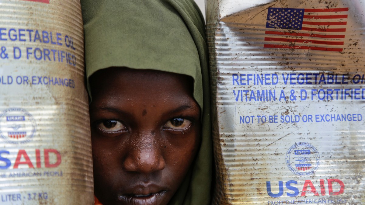 Dogecoin Cuts: USAID Blamed For Child Deaths