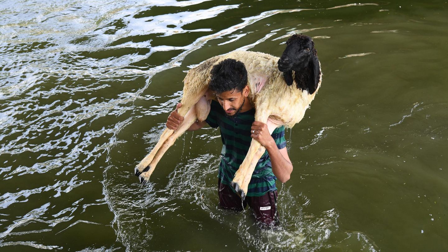 Eid Al-Adha: Sacrifice, Faith, And Community