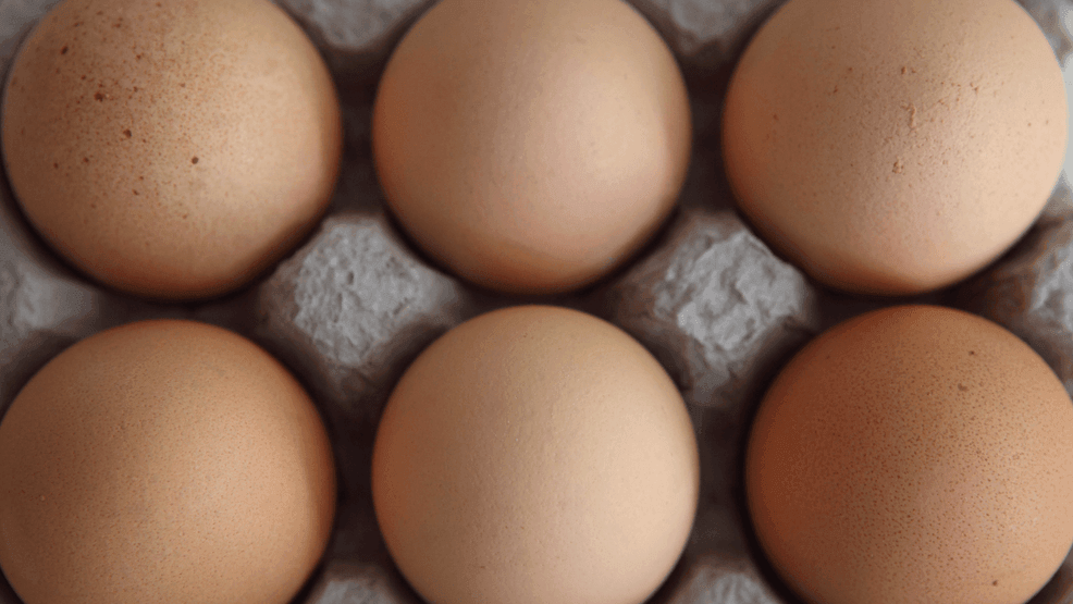 FDA Recalls 1.7M Eggs: Salmonella Risk