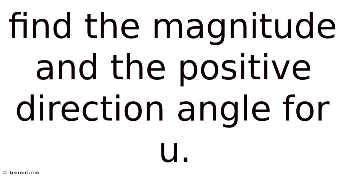 Find The Magnitude And The Positive Direction Angle For U.