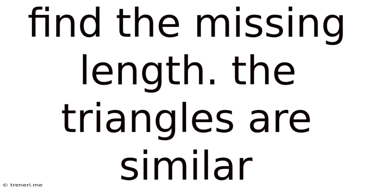 Find The Missing Length. The Triangles Are Similar