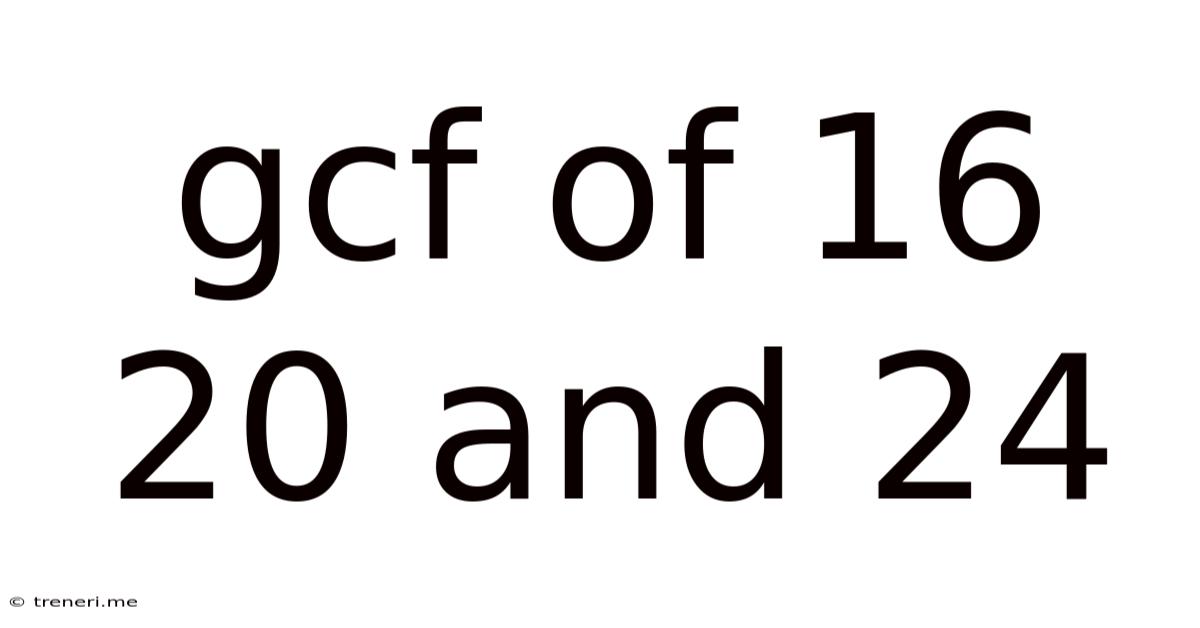 Gcf Of 16 20 And 24