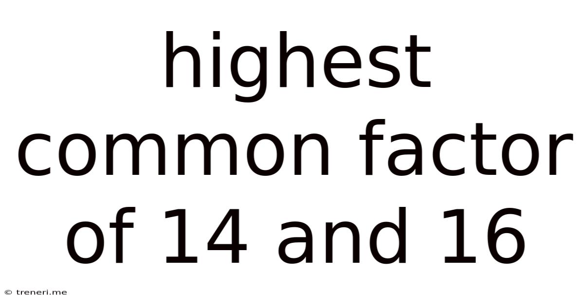 Highest Common Factor Of 14 And 16