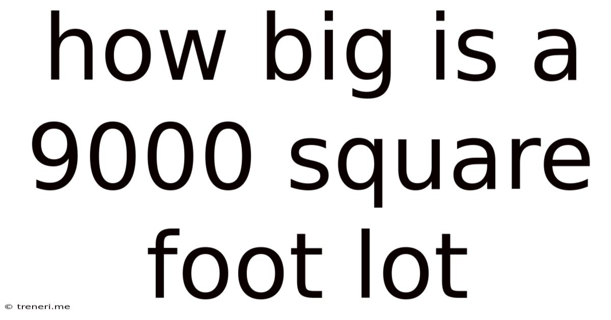 How Big Is A 9000 Square Foot Lot