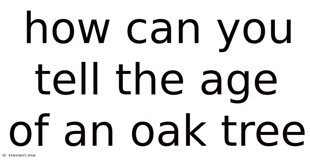 How Can You Tell The Age Of An Oak Tree