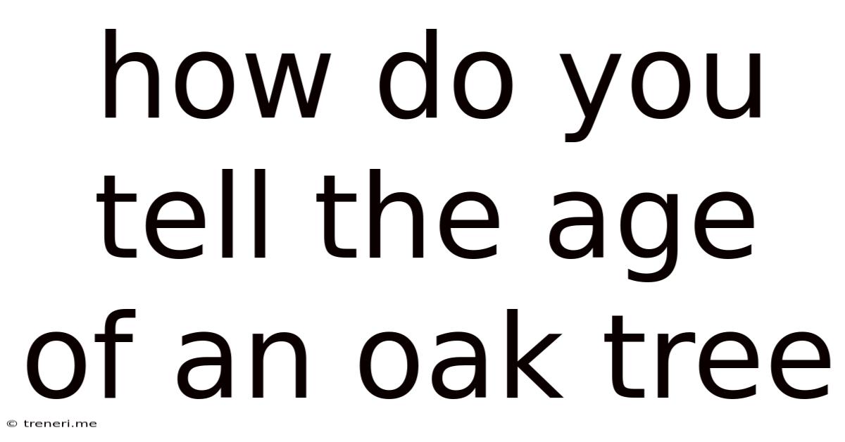 How Do You Tell The Age Of An Oak Tree