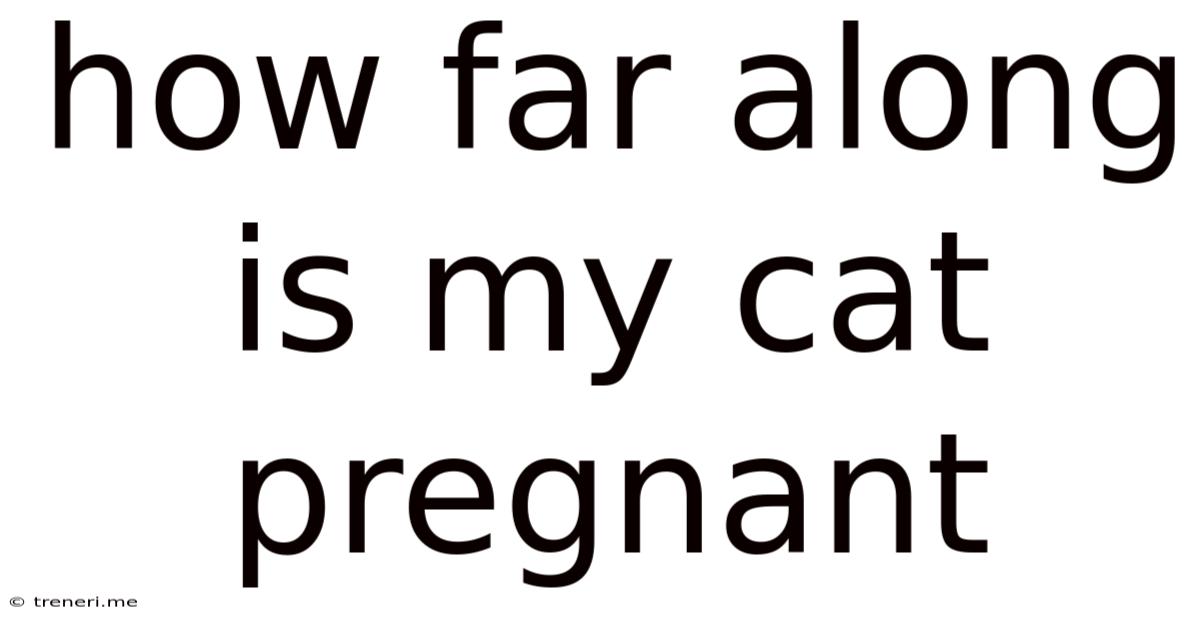 How Far Along Is My Cat Pregnant