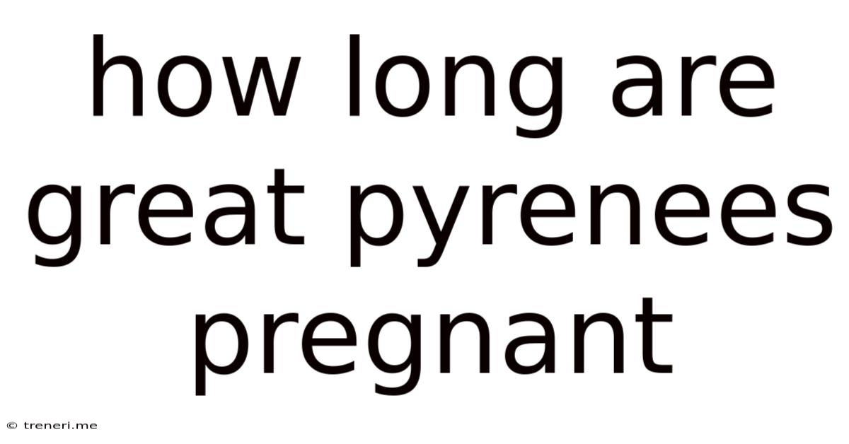 How Long Are Great Pyrenees Pregnant