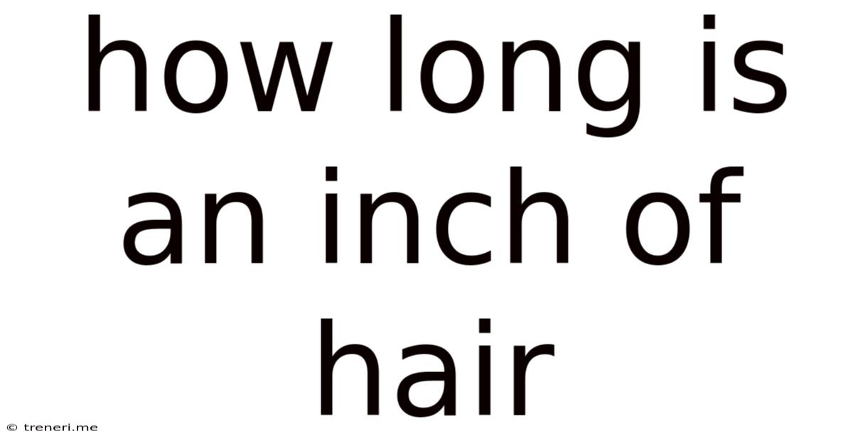 How Long Is An Inch Of Hair