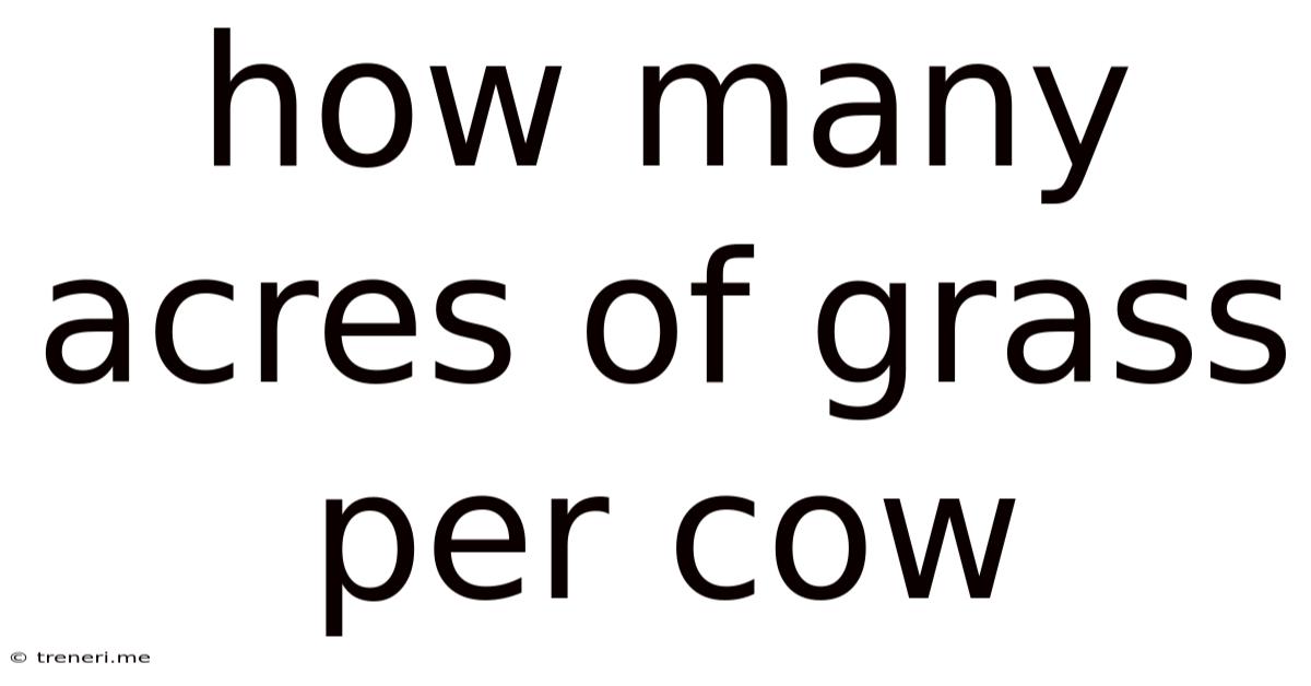 How Many Acres Of Grass Per Cow