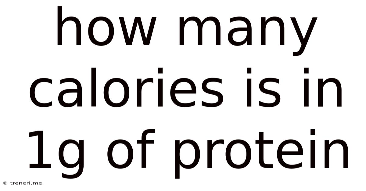 How Many Calories Is In 1g Of Protein