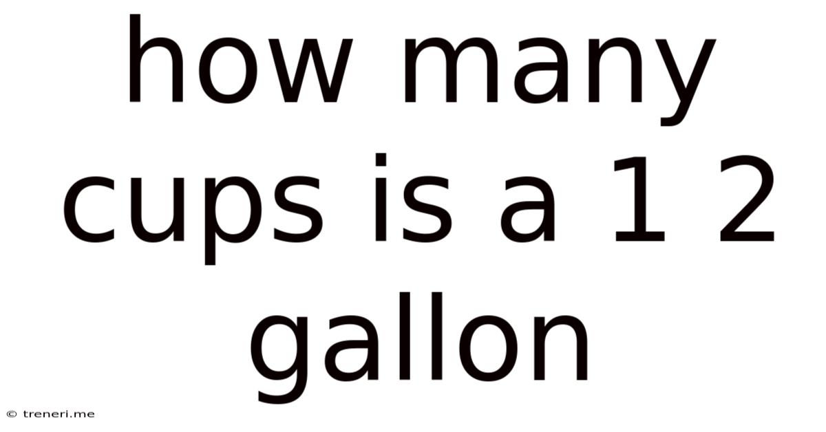 How Many Cups Is A 1 2 Gallon