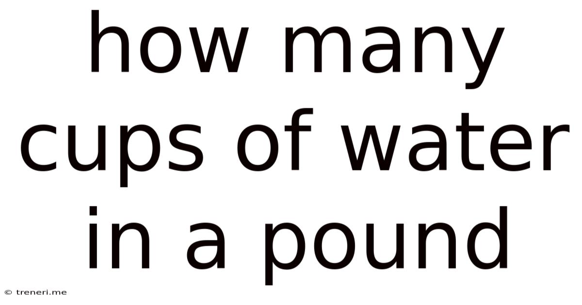 How Many Cups Of Water In A Pound