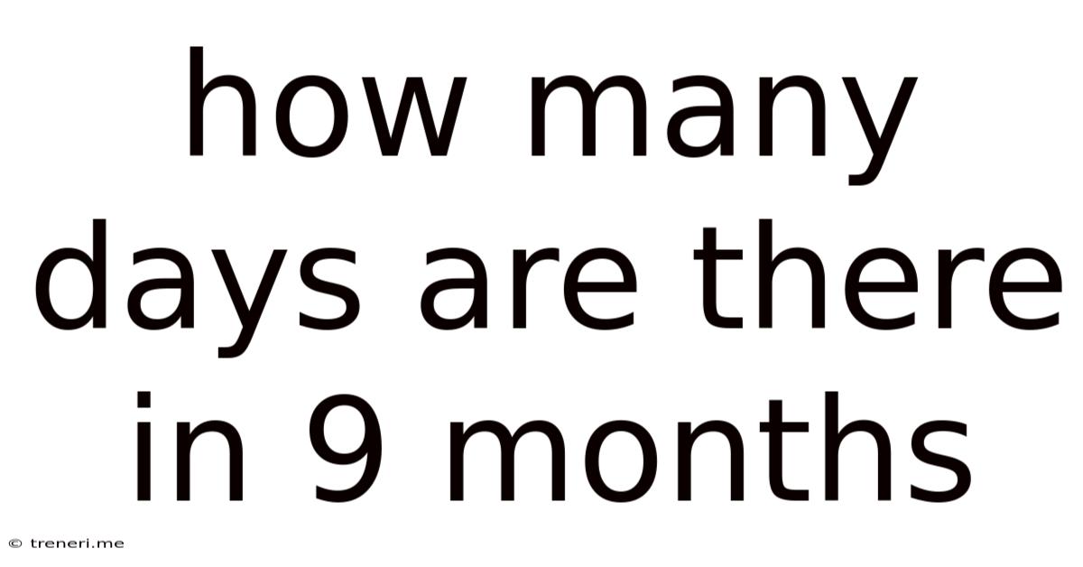 How Many Days Are There In 9 Months