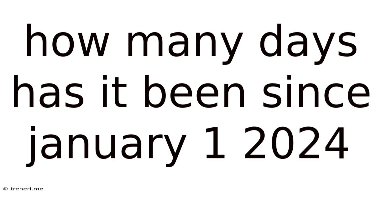 How Many Days Has It Been Since January 1 2024