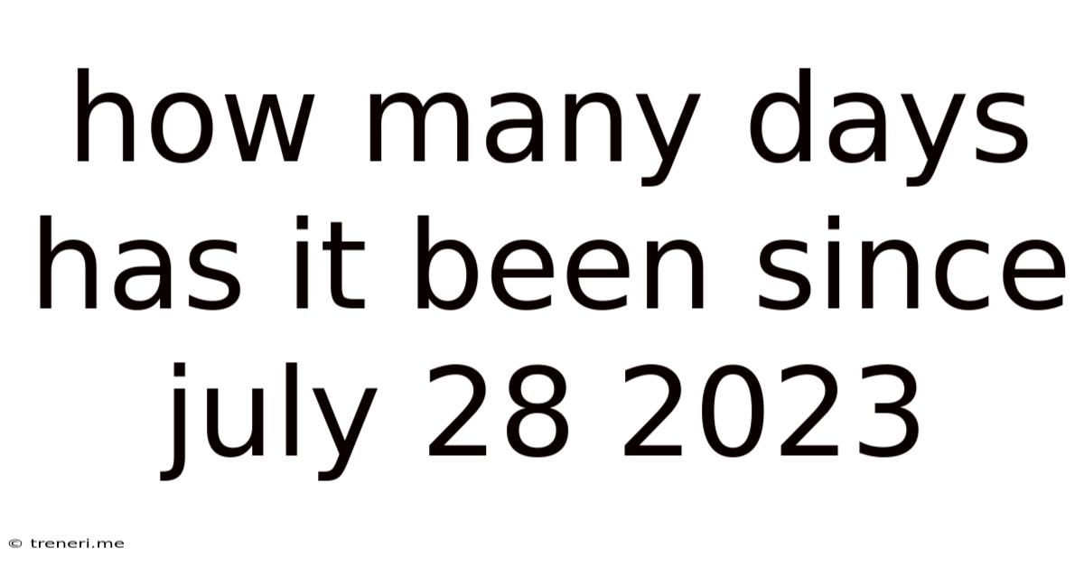How Many Days Has It Been Since July 28 2023