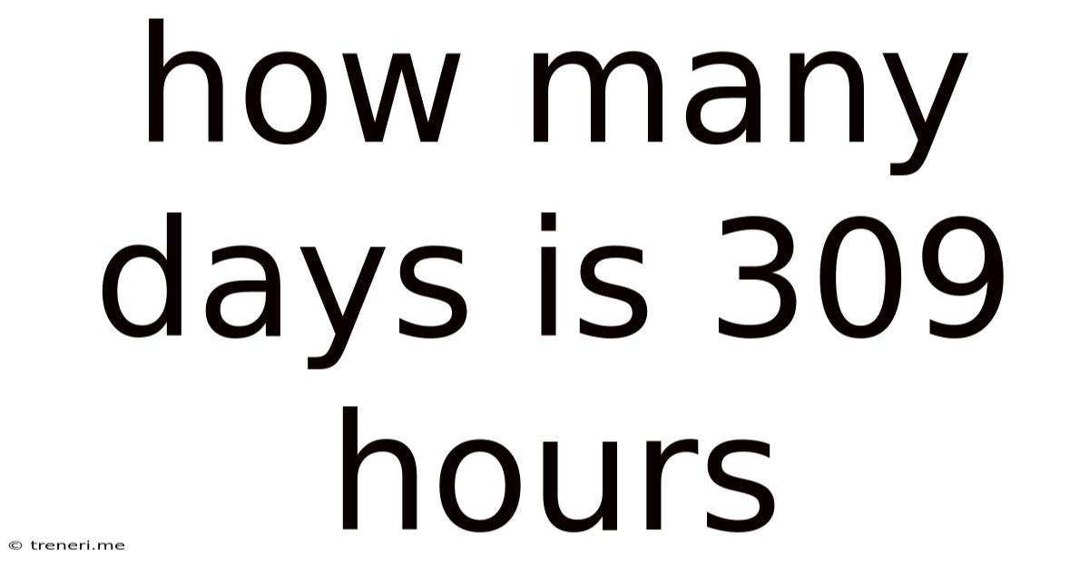 How Many Days Is 309 Hours