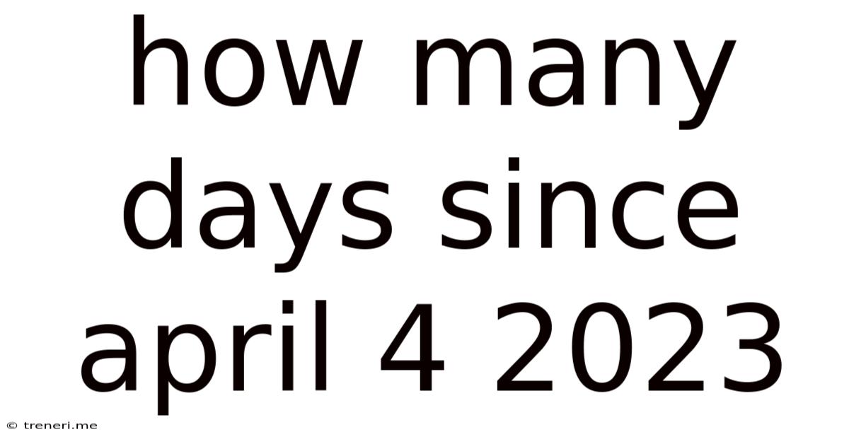 How Many Days Since April 4 2023