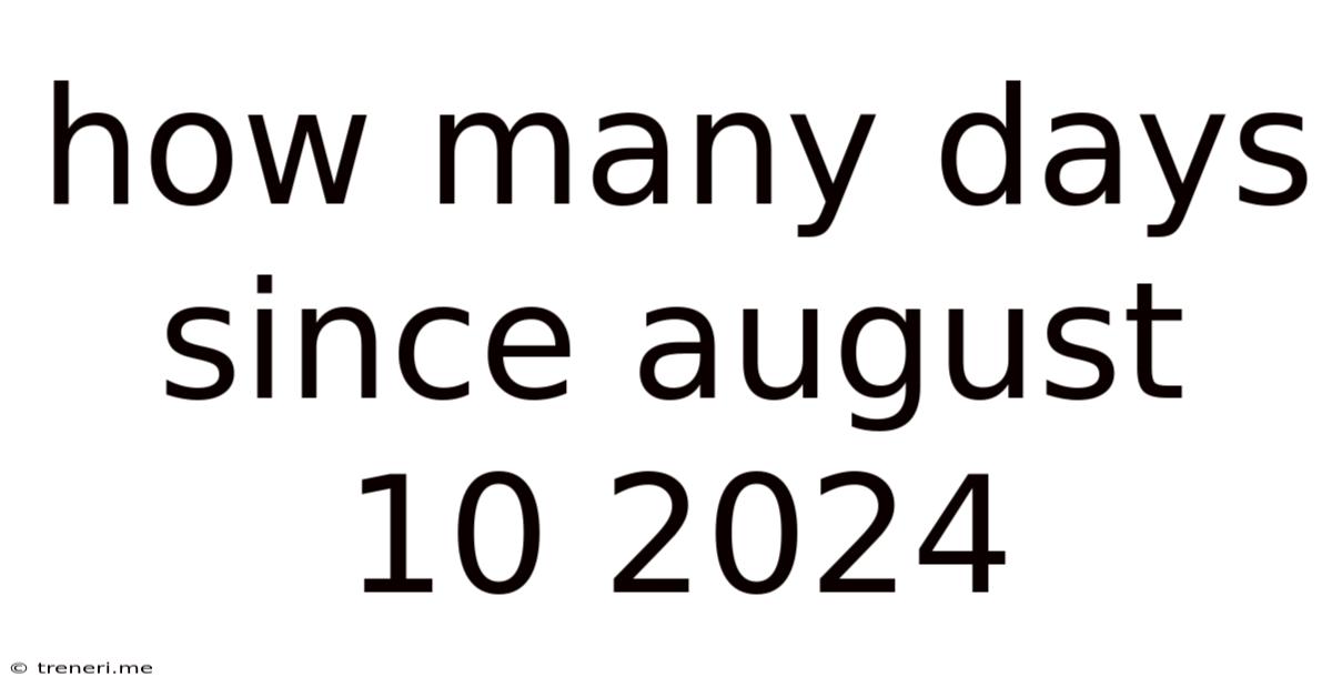 How Many Days Since August 10 2024