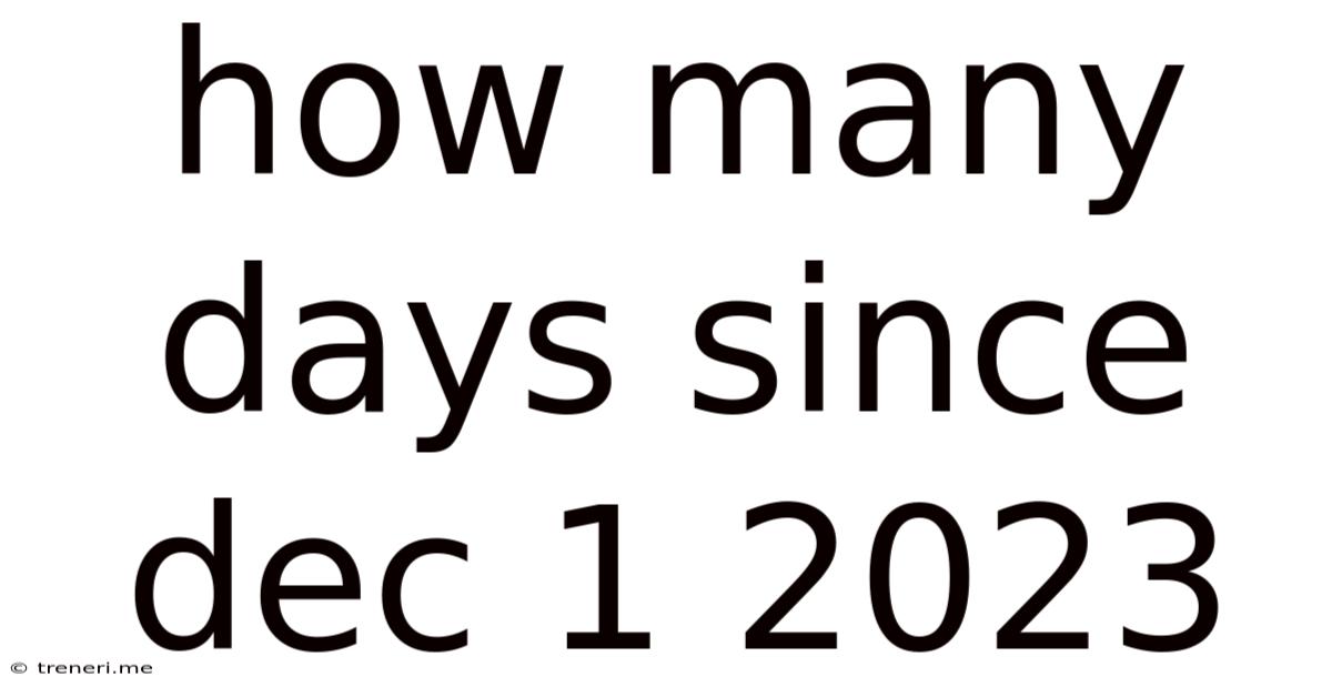 How Many Days Since Dec 1 2023
