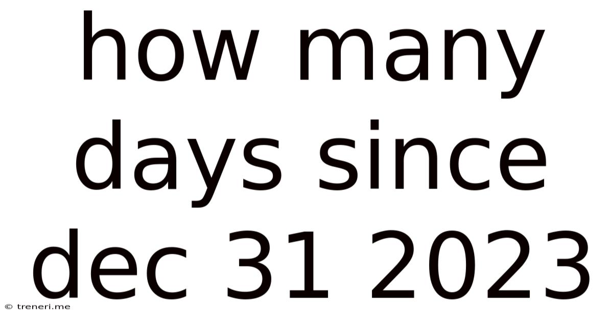 How Many Days Since Dec 31 2023