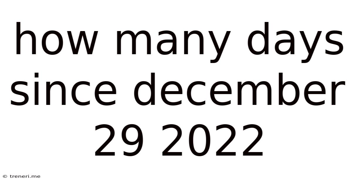 How Many Days Since December 29 2022
