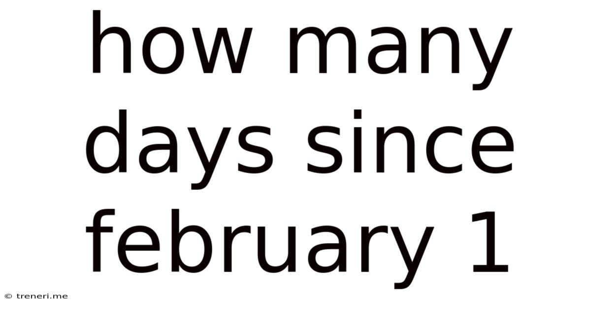 How Many Days Since February 1