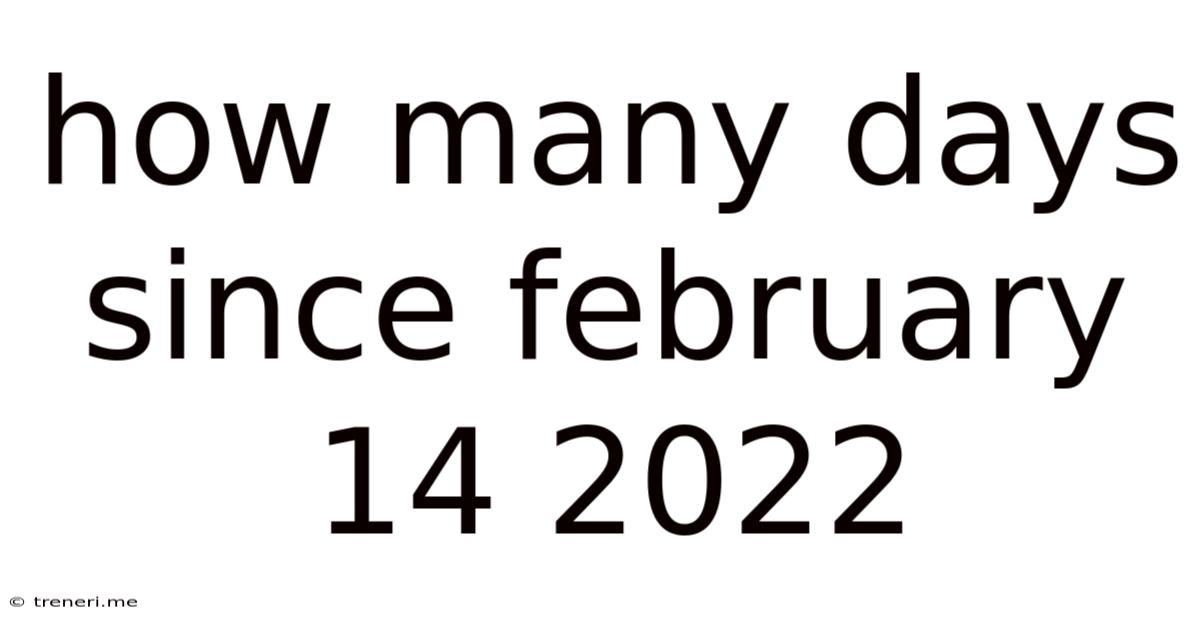 How Many Days Since February 14 2022