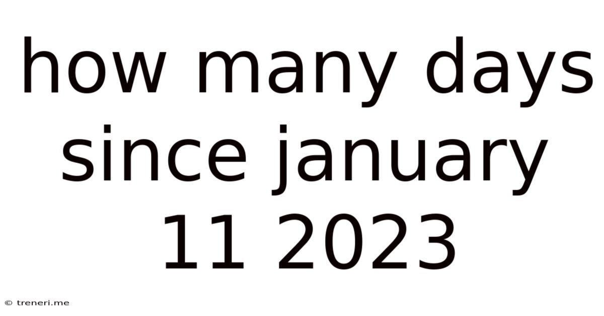 How Many Days Since January 11 2023