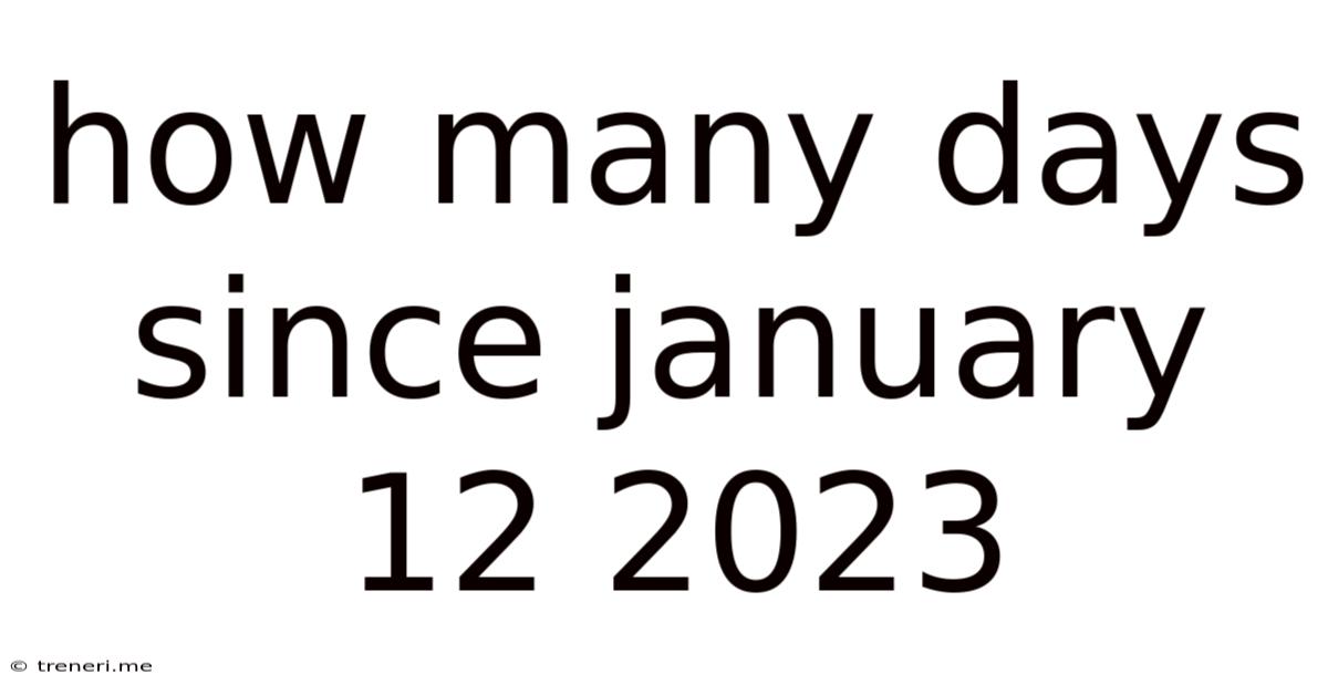 How Many Days Since January 12 2023