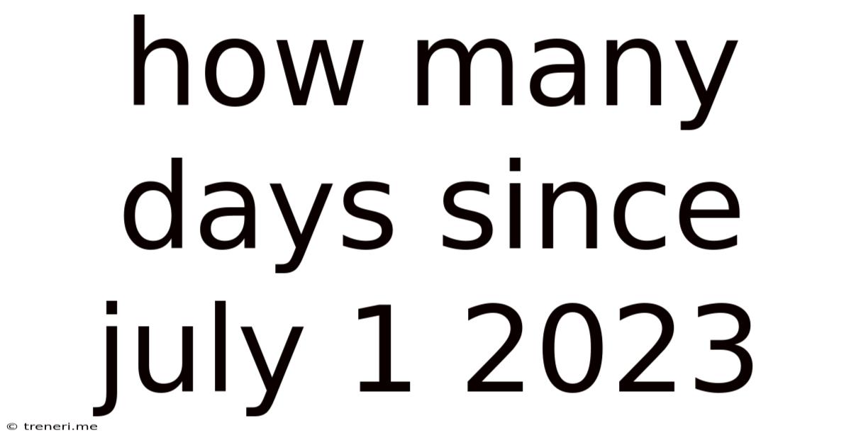 How Many Days Since July 1 2023