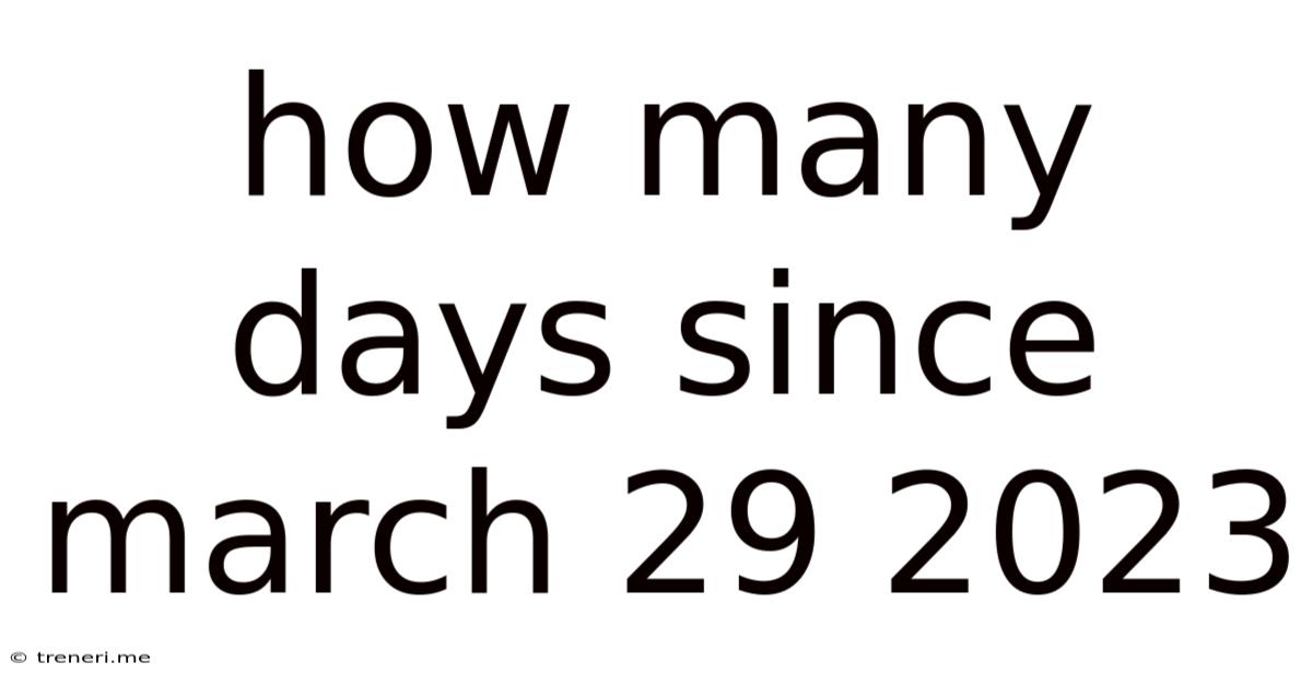 How Many Days Since March 29 2023