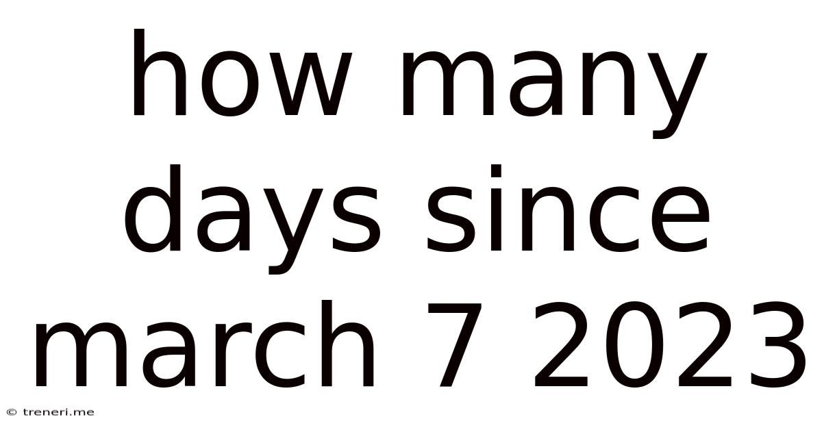 How Many Days Since March 7 2023