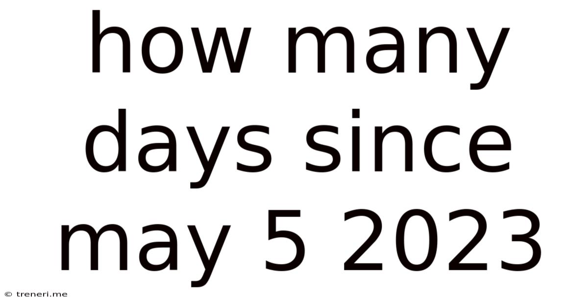 How Many Days Since May 5 2023