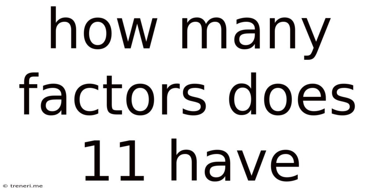How Many Factors Does 11 Have