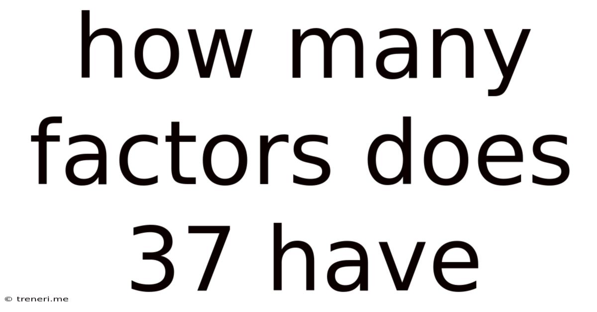 How Many Factors Does 37 Have