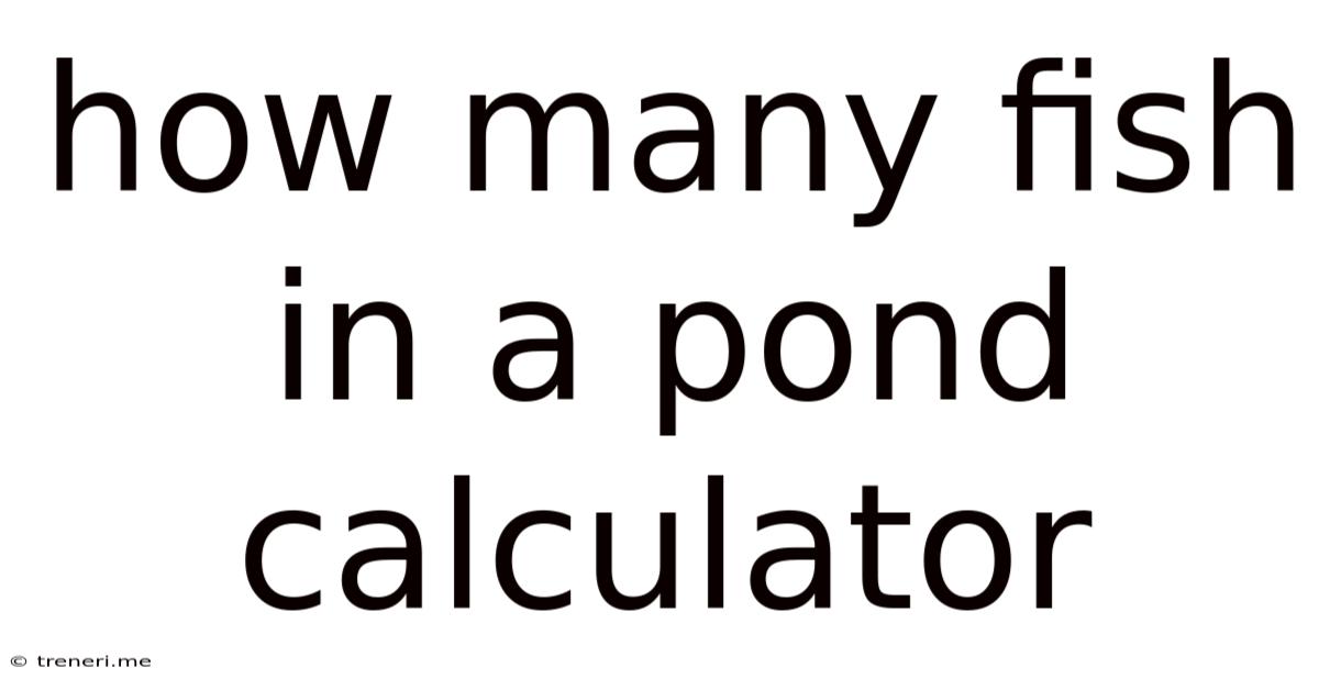 How Many Fish In A Pond Calculator