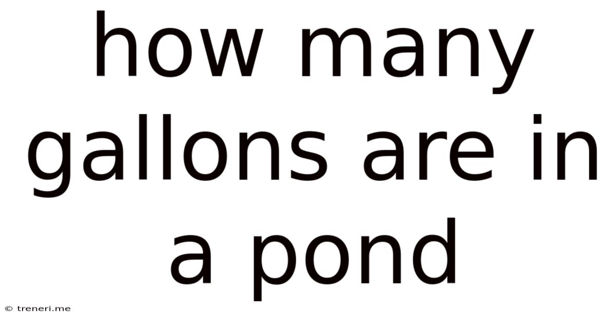 How Many Gallons Are In A Pond