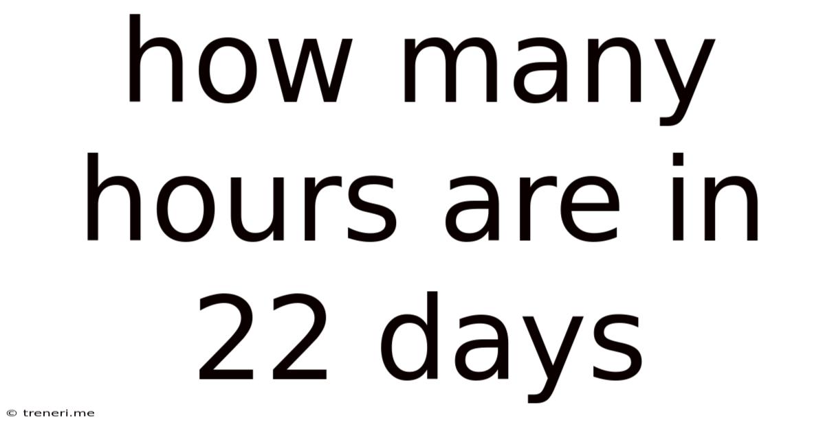 How Many Hours Are In 22 Days