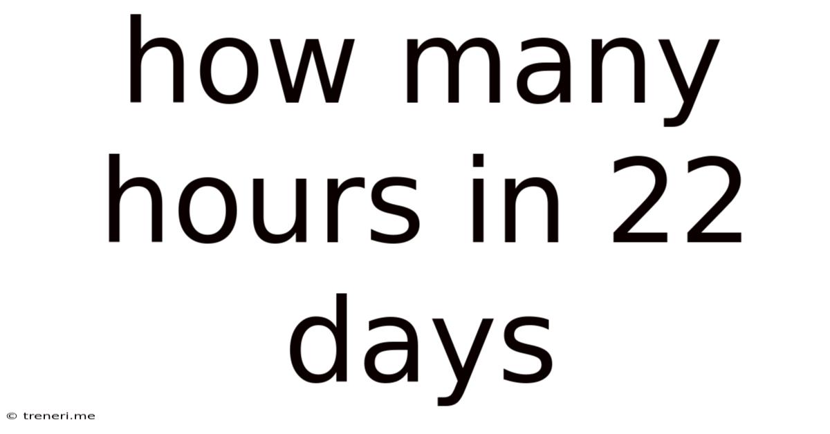 How Many Hours In 22 Days