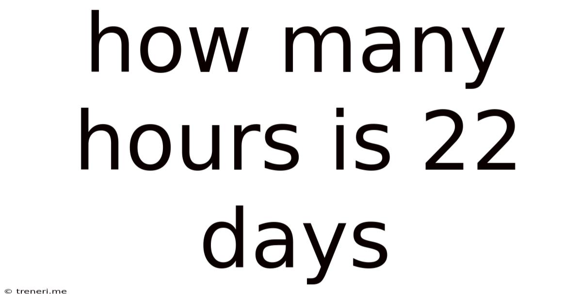 How Many Hours Is 22 Days