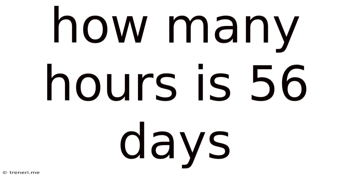 How Many Hours Is 56 Days