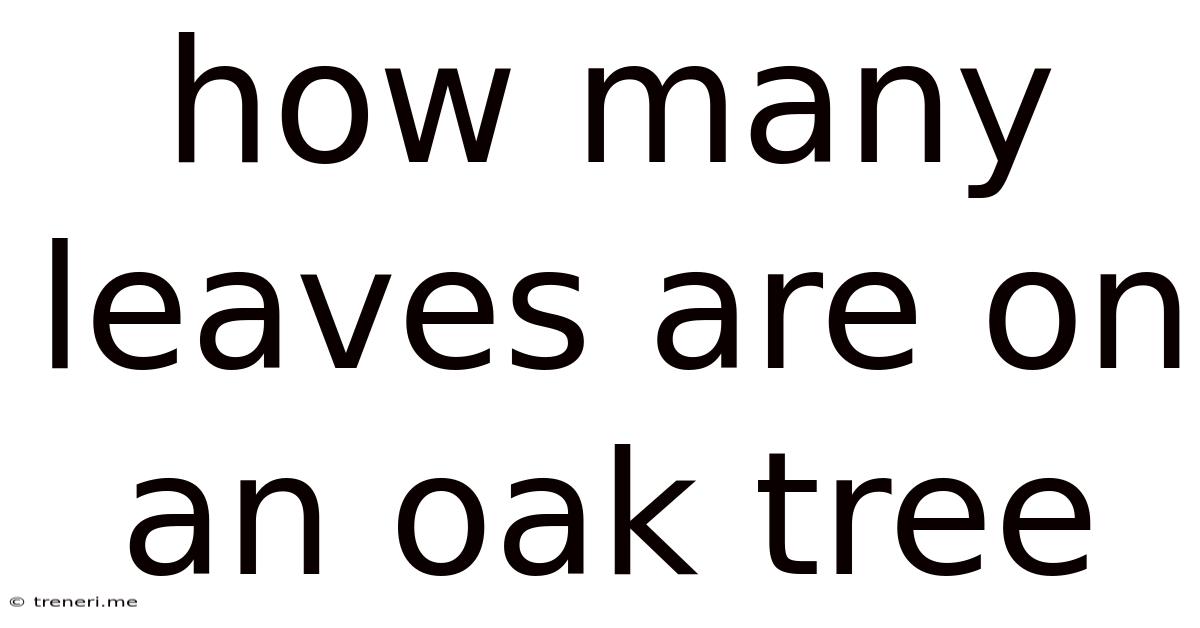 How Many Leaves Are On An Oak Tree