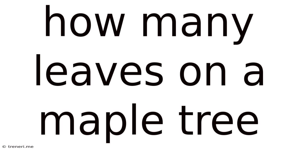How Many Leaves On A Maple Tree
